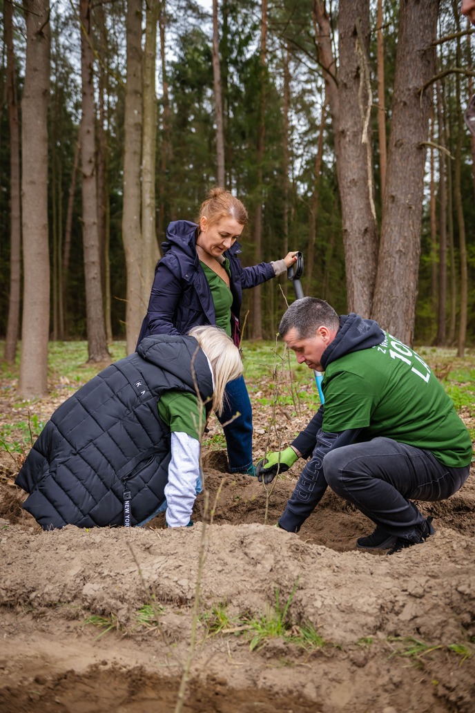 Trzech pracowników podczas sadzenia sadzonki