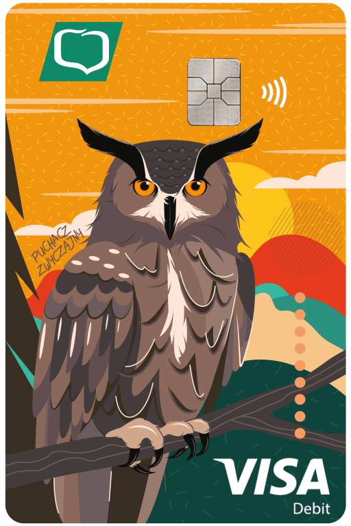Visa Debetowa 1