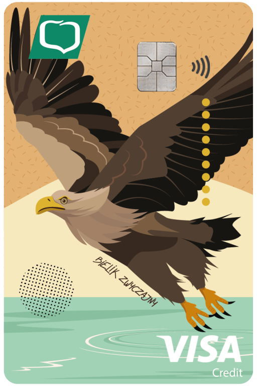 Visa kredytowa PG 1